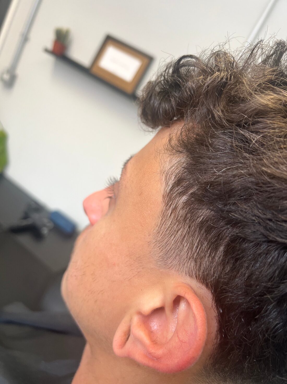 Curly top with a skin fade